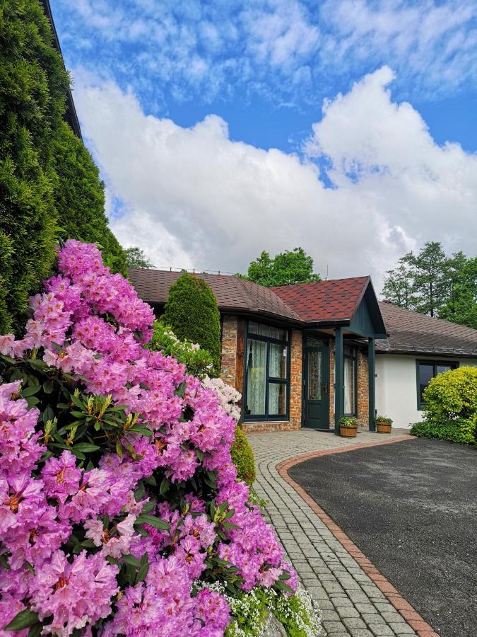 Cyprianowka Villa Warszowice Buitenkant foto