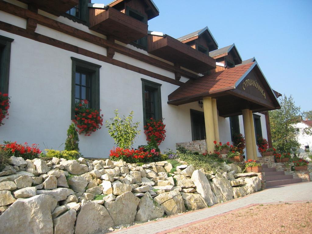 Cyprianowka Villa Warszowice Buitenkant foto